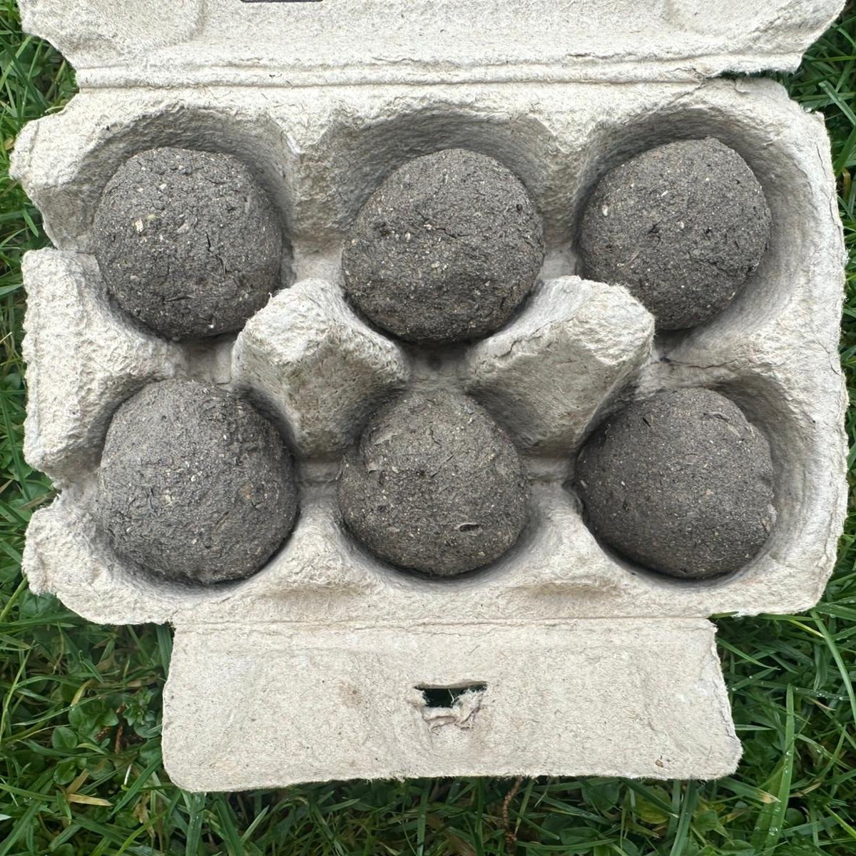 Groene Groetjes BloeiBommetjes – 6 stuks 100% Biologische Bijen- & Hommelmix