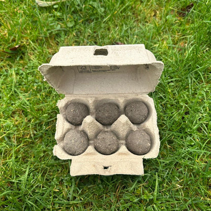 Groene Groetjes BloeiBommetjes – 6 stuks 100% Biologische Bijen- & Hommelmix
