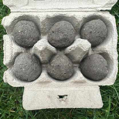 Groene Groetjes BloeiBommetjes – 6 stuks 100% Biologische Bijen- & Hommelmix